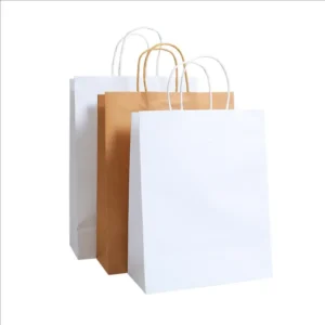 custom Kraft paper bags